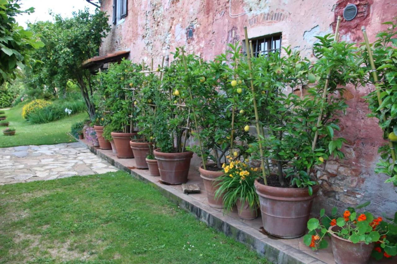 Gasthaus Casa Gaia Lucca Exterior foto